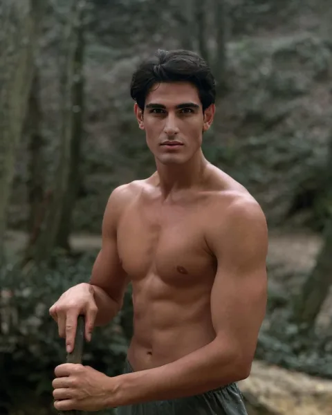 @shamilbekir
